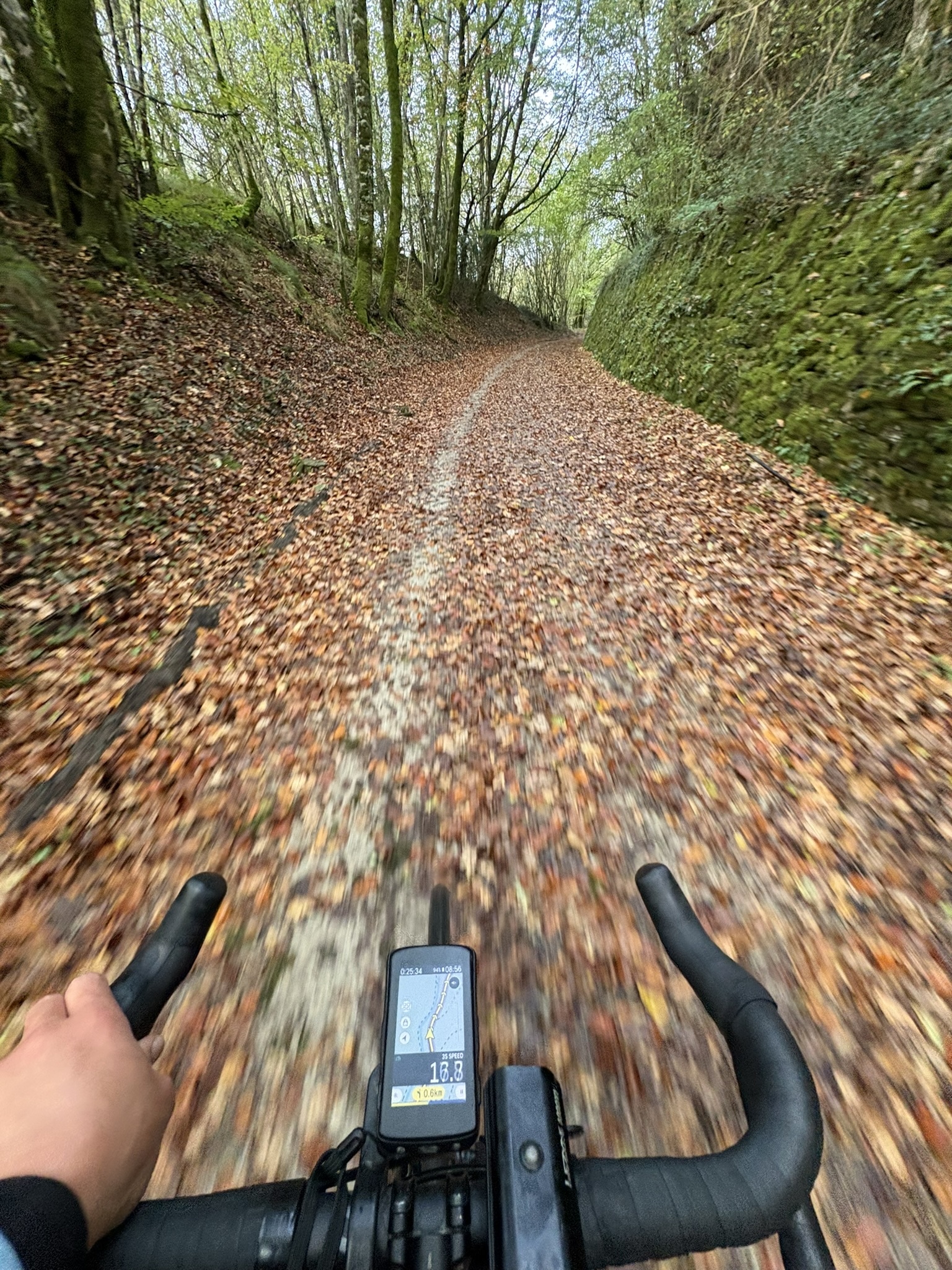 A gravel road going through a forest with steep walls on both sides and lots of fallen leaves